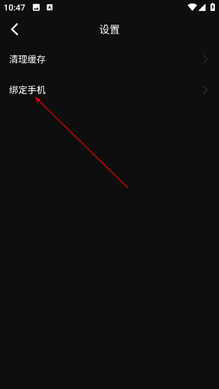 王牌影院手机版