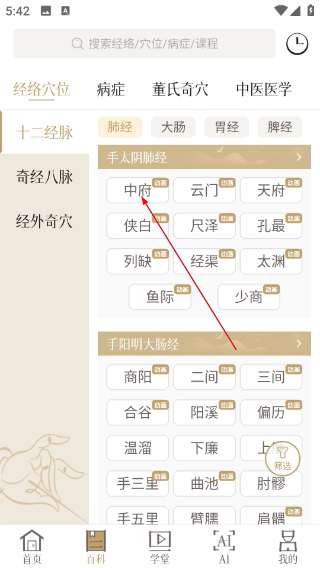 知源经络穴位
