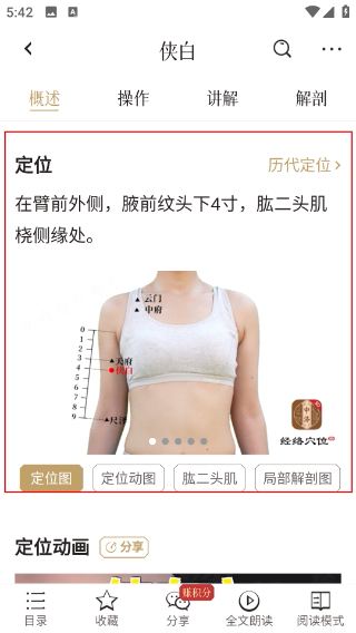知源经络穴位