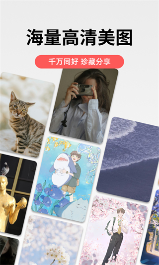 堆糖截图5
