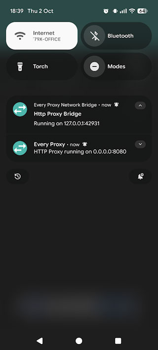 Every Proxy截图1