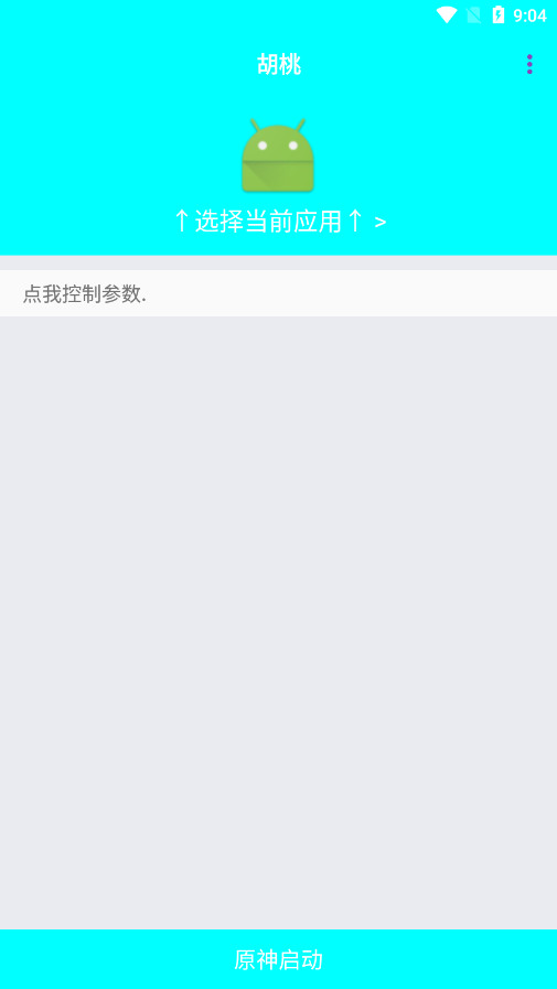 胡桃弱网10.0参数截图1