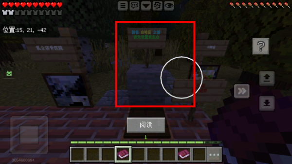 我的世界1.17.30.20