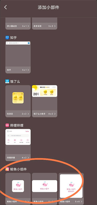 鲸鱼小组件