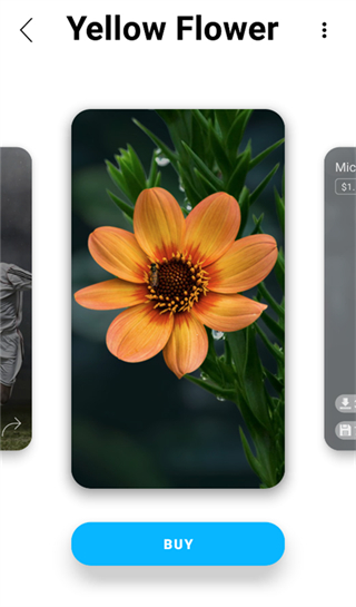 3d Wallpapers