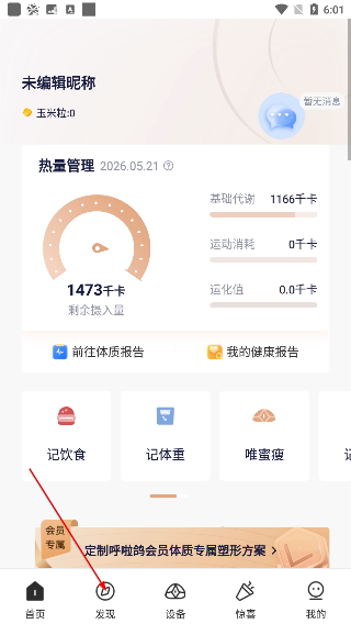 呼啦鸽