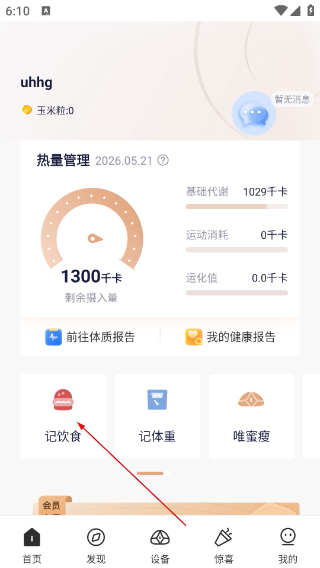 呼啦鸽正版