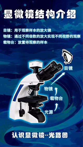 赫鲤显微镜
