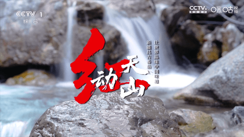 冰茶订阅专用截图1