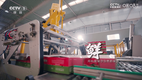 冰茶订阅专用截图4