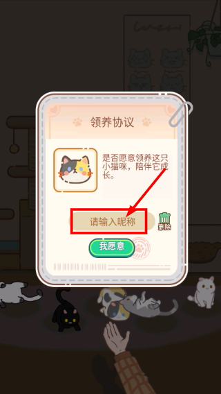 领养一只流浪猫