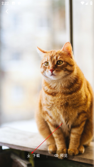 猫语狗语翻译器