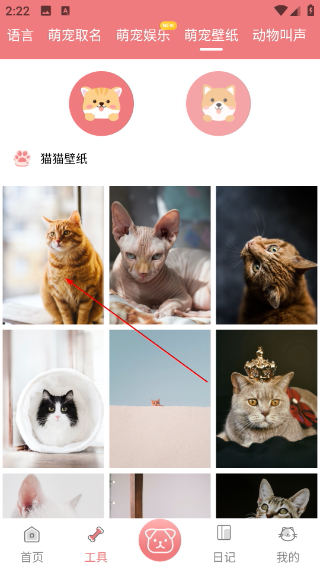 猫语狗语翻译器