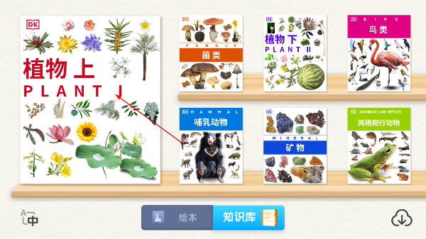 DK百科