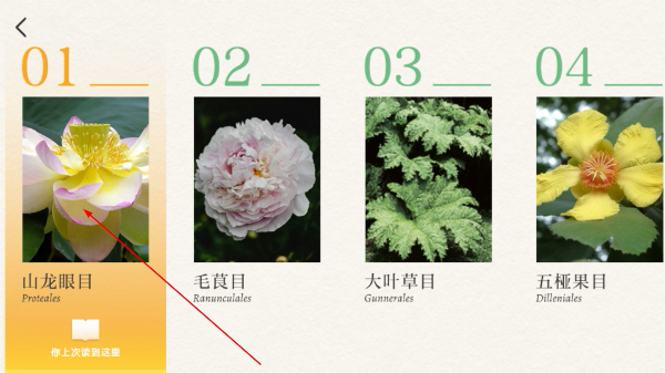 DK百科