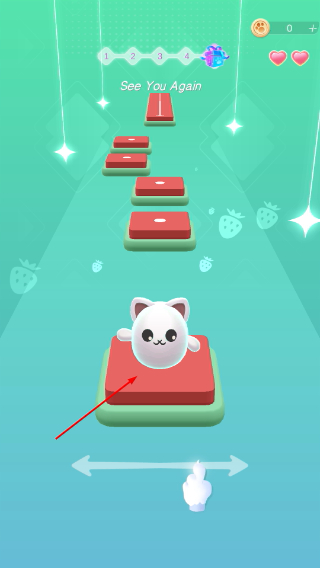 猫与舞