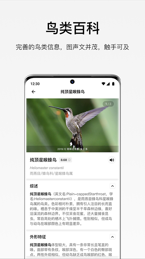 懂鸟全球鸟类识别截图3