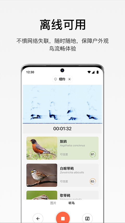 懂鸟全球鸟类识别截图4