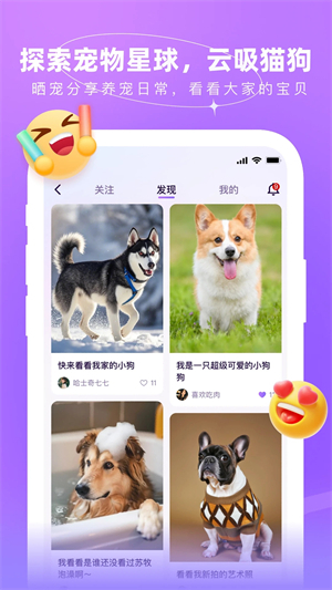 佩佩宠圈截图4