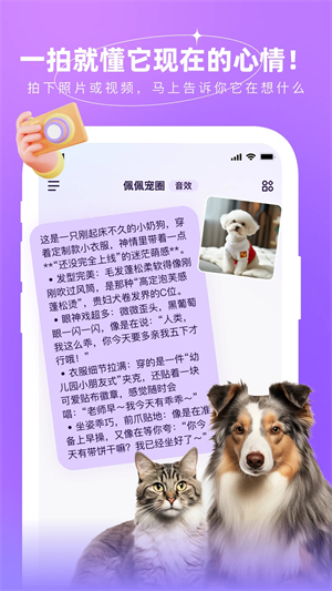 佩佩宠圈截图3