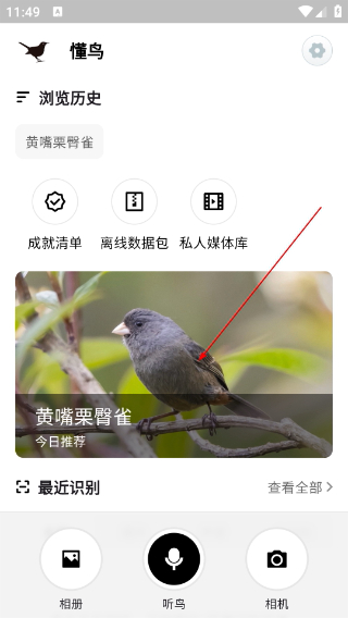 懂鸟全球鸟类识别