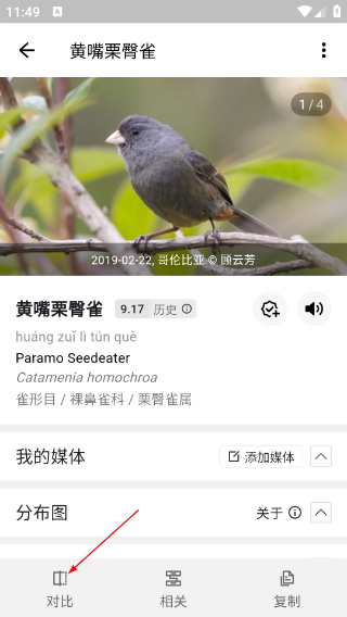 懂鸟全球鸟类识别
