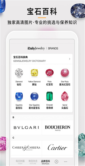 每日珠宝杂志截图4