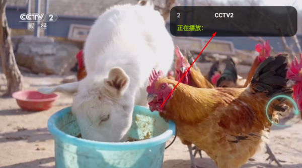橙子电视直播TV版