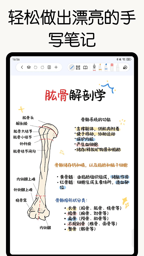 自由笔记截图5