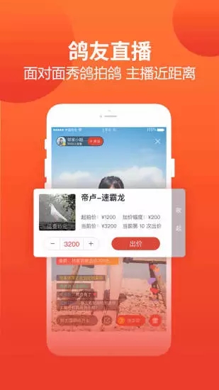 赛鸽头条截图2
