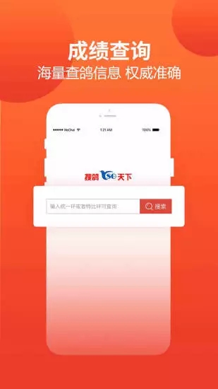 赛鸽头条截图4