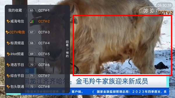 白菜影视