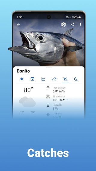 Fishing Points截图1
