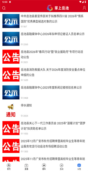 掌上岳池