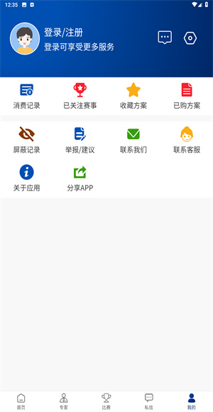 球进了