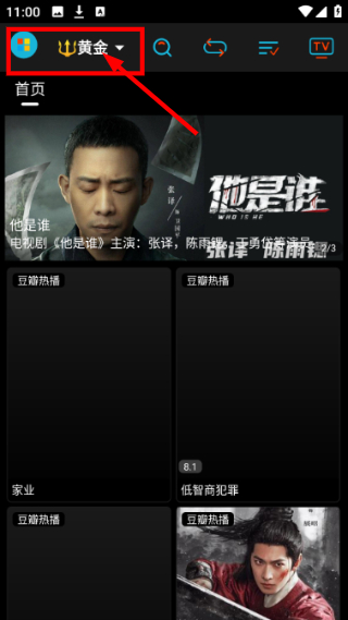 黄金影视TV