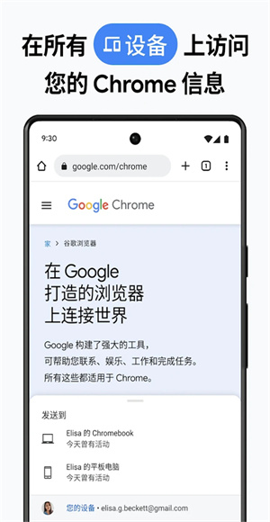 chrome截图2