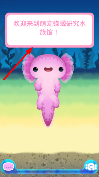 Axolochi