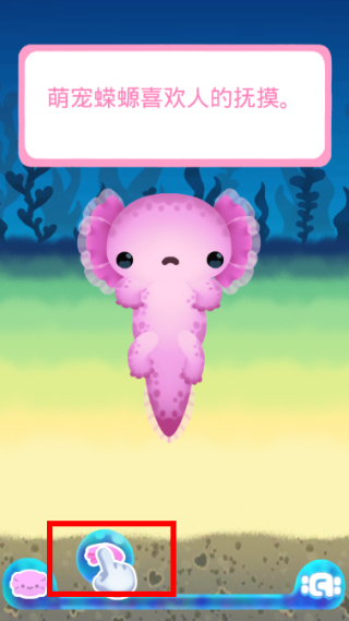 Axolochi