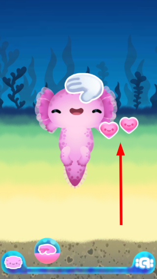 Axolochi