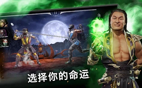 真人快打X汉化版截图2