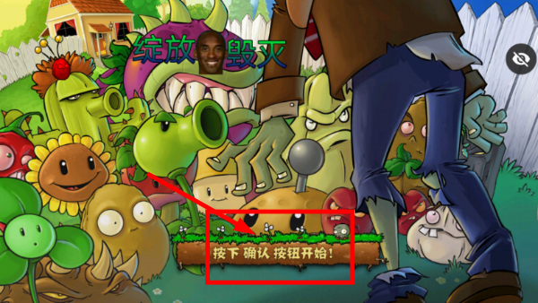 绽放与毁灭