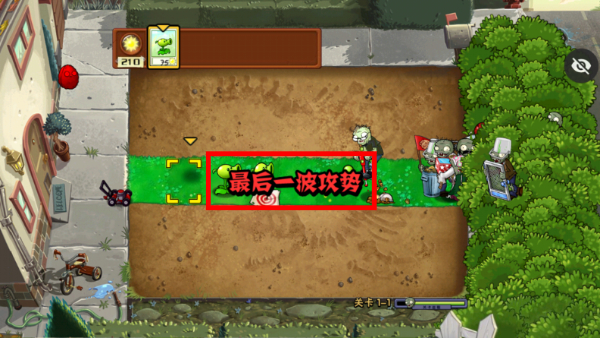 绽放与毁灭