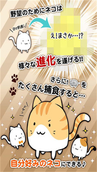 这是猫咪吗截图2