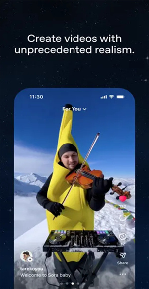 Sora截图1