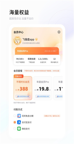 飞猫盘截图3