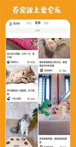 爱它了宠物截图2