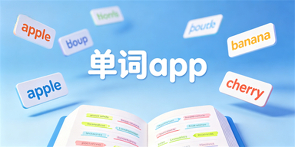 单词app