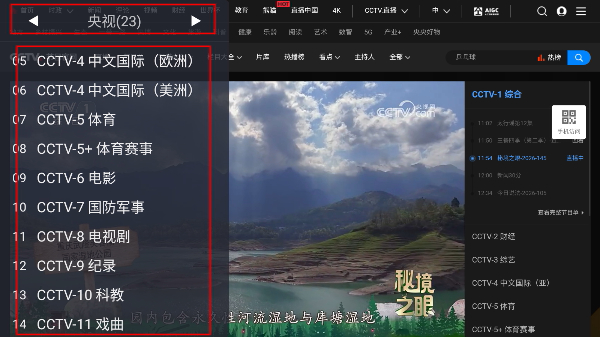 WebView电视