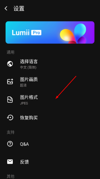 lumii图片编辑高级版